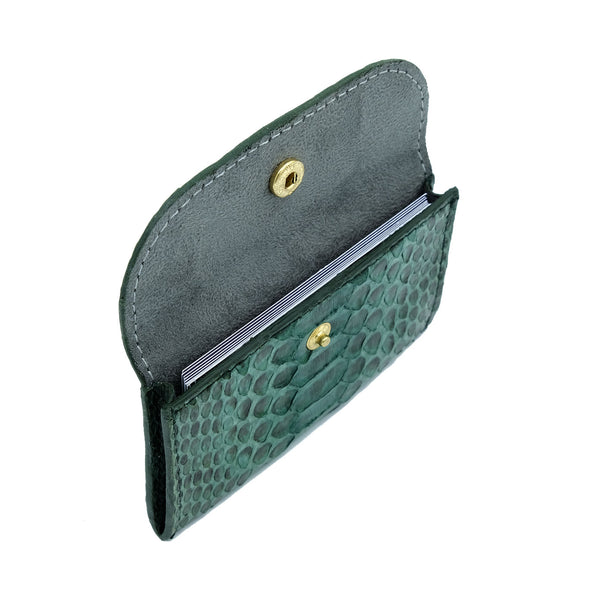 Green Motif Snakeskin & Python Cardholder | Urban Story