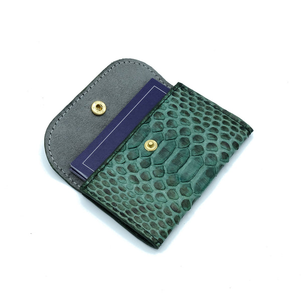 Green Motif Snakeskin & Python Cardholder | Urban Story